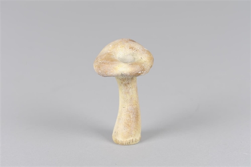 Pilz, Fungi Ø6x H12.5, zement
