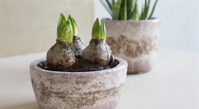 PDF - Rabatt Artikel