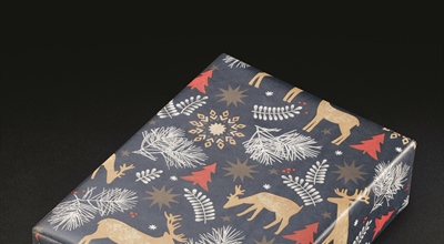 PDF Download - Papiere