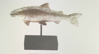 Kom-./Konfirmation/Kirche