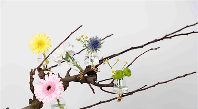 Glas mit Halter, klar