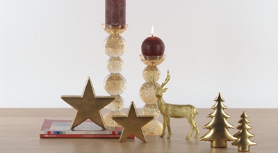 Herbst 2024/25, alle