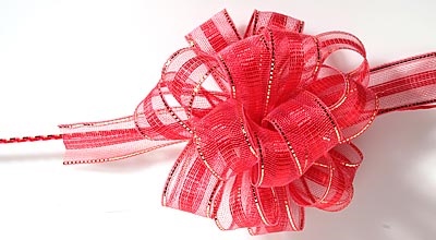 Susifix - Schleifenband