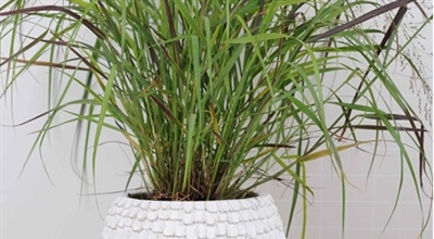 Floristen & Gartencenter