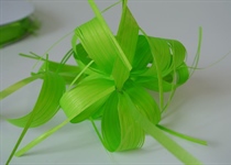 Susifix Schleifen Poly