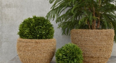 Körbe - Schalen, Natur