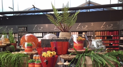 Frankfurt - Ambiente