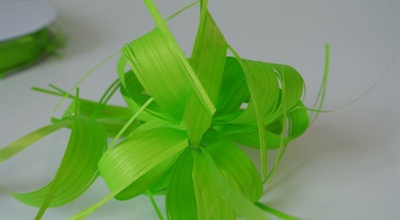 Susifix Schleifen Poly