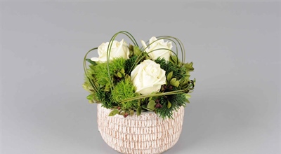 kleine - Töpfe, Vasen