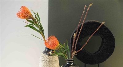 Wohnen, grosse Rabatte