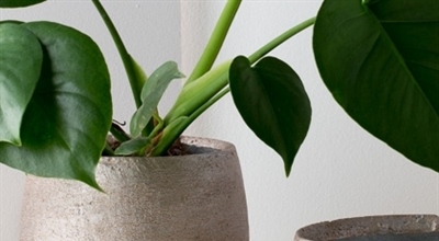 Keramik- Töpfe-Vase, gr.