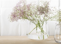 Glasvasen- klar, gross