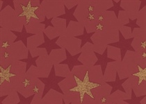 Rollen 250m x 50cm Breite