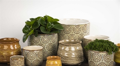 1, 2, 3 - letzte Stücke