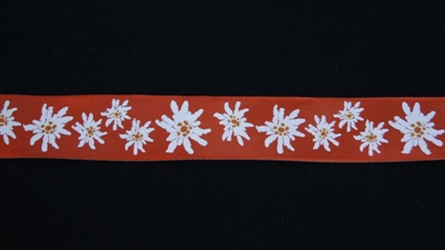 Band 20m/ 25mm, Edelweiss, rot