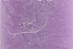 Rustic Kugelkerze, Ø 80mm, viola* Rustic Kugelkerze, Ø 80mm, viola*