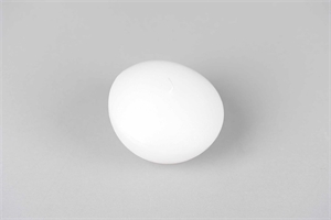 Schwimmkerze, 7cm x Ø100mm, weiss Schwimmkerze, 7cm x Ø100mm, weiss