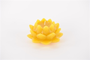 Schwimmkerze, Seerose H8x Ø13cm, ocker Schwimmkerze, Seerose H8x Ø13cm, ocker