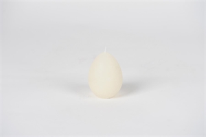 Eierkerze, 8.5cm x Ø65mm, asparagus Eierkerze, 8.5cm x Ø65mm, asparagus