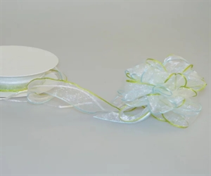 Susifix 25m/ 25mm, Organza/Zugschleife, grün/blau Susifix 25m/ 25mm, Organza/Zugschleife, grün/blau