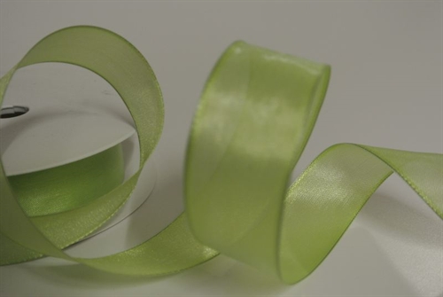 Band 25m/ 25mm, Sheer, hgrün Band 25m/ 25mm, Sheer, hgrün