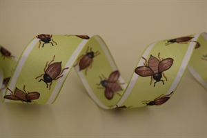 Band 25m/ 40mm, Maikäfer, braun/grün Band 25m/ 40mm, Maikäfer, braun/grün