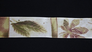 Band 20m/ 40mm, Blätter, olive Band 20m/ 40mm, Blätter, olive