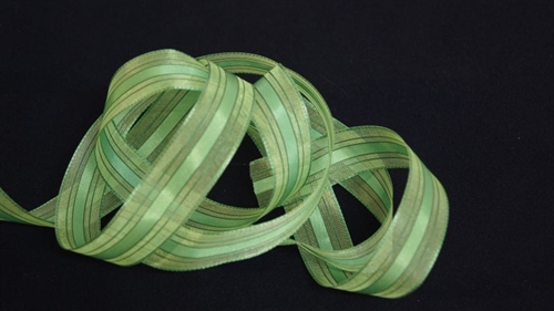 Band 20m/ 25mm, Organzarand, grün Band 20m/ 25mm, Organzarand, grün