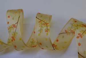 Band 25m/ 25mm, Ast auf Sheer, creme Band 25m/ 25mm, Ast auf Sheer, creme