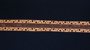 Band 20m/ 20mm, Organza m. Lochrand, orange Band 20m/ 20mm, Organza m. Lochrand, orange