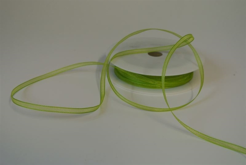 Band 50m/ 03mm, Organza, pastellgrün Band 50m/ 03mm, Organza, pastellgrün