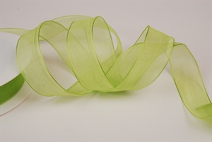 Band 50m/ 25mm, Organza, pastellgrün Band 50m/ 25mm, Organza, pastellgrün