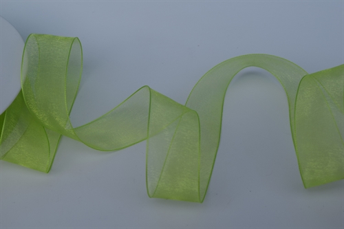 Band 50m/ 25mm, Organza, lindengrün Band 50m/ 25mm, Organza, lindengrün