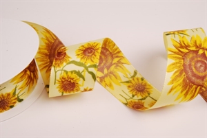 Band 25m/ 40mm, Sonnenblume, gelb Band 25m/ 40mm, Sonnenblume, gelb