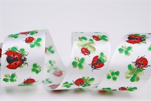 Band 25m/ 40mm, Marienkäfer, weiss/rot Band 25m/ 40mm, Marienkäfer, weiss/rot