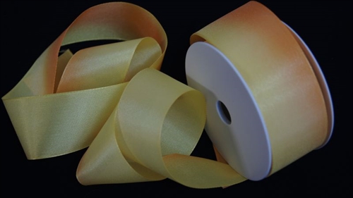 Band 25m/ 40mm, uni, orange Band 25m/ 40mm, uni, orange