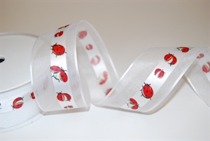 Band 20m/ 40mm, Marienkäfer, weiss/rot Band 20m/ 40mm, Marienkäfer, weiss/rot