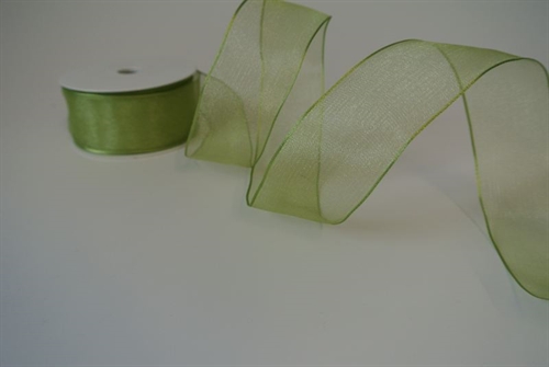 Band 25m/ 38mm, Shiny single color, Draht, olive Band 25m/ 38mm, Shiny single color, Draht, olive