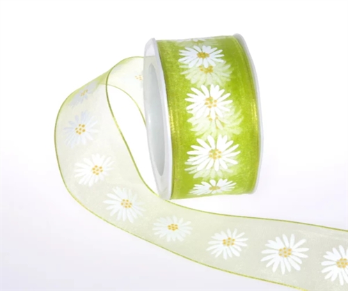 Band 20m/ 40mm, Blume Margrite, grün Band 20m/ 40mm, Blume Margrite, grün