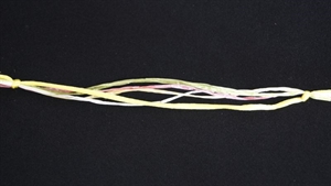 Band 10m/ 10mm, Seidenkordel & Bast, gelb Band 10m/ 10mm, Seidenkordel & Bast, gelb