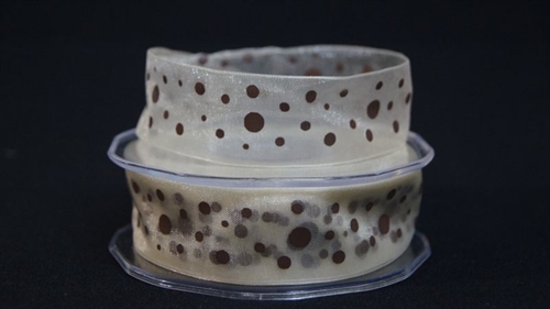 Band 25m/ 25mm, Organza mit Punkte, braun Band 25m/ 25mm, Organza mit Punkte, braun