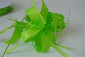 Susifix 40m/ 17mm, Svelto uni, hellgrün Susifix 40m/ 17mm, Svelto uni, hellgrün