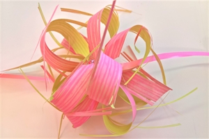 Susifix 40m/ 17mm, Svelto bic, rosa/elfenbein Susifix 40m/ 17mm, Svelto bic, rosa/elfenbein