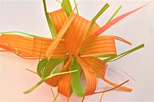 Susifix 40m/ 17mm, Svelto bic, orange/grün Susifix 40m/ 17mm, Svelto bic, orange/grün