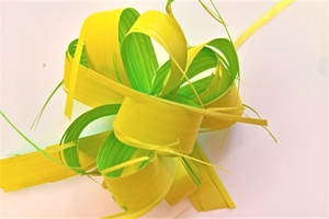 Susifix 40m/ 17mm, Svelto bic, grün/gelb Susifix 40m/ 17mm, Svelto bic, grün/gelb