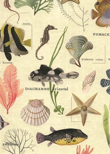 Rolle 200m x 50cm, Sansibar-Meerestiere, créme Rolle 200m x 50cm, Sansibar-Meerestiere, créme