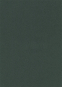 Bogen 70x 100cm, Uni matt, dunkelgrün Bogen 70x 100cm, Uni matt, dunkelgrün