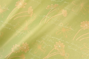 Blm-Papier, 50cm - Swinging Flowers, lindgrün Blm-Papier, 50cm - Swinging Flowers, lindgrün