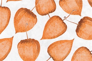 Blm-Papier, 50cm - Physalis auf Recyclingpapier, weiss Blm-Papier, 50cm - Physalis auf Recyclingpapier, weiss