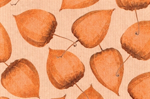 Blm-Papier, 100cm - Physalis auf Recyclingpapier, braun Blm-Papier, 100cm - Physalis auf Recyclingpapier, braun